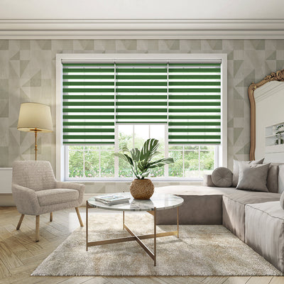 Vision Blinds