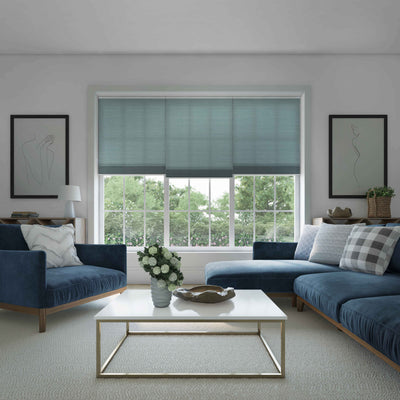 Pleated Blinds